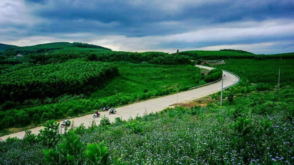 Du lịch Phú Yên Du lịch Phú Yên
